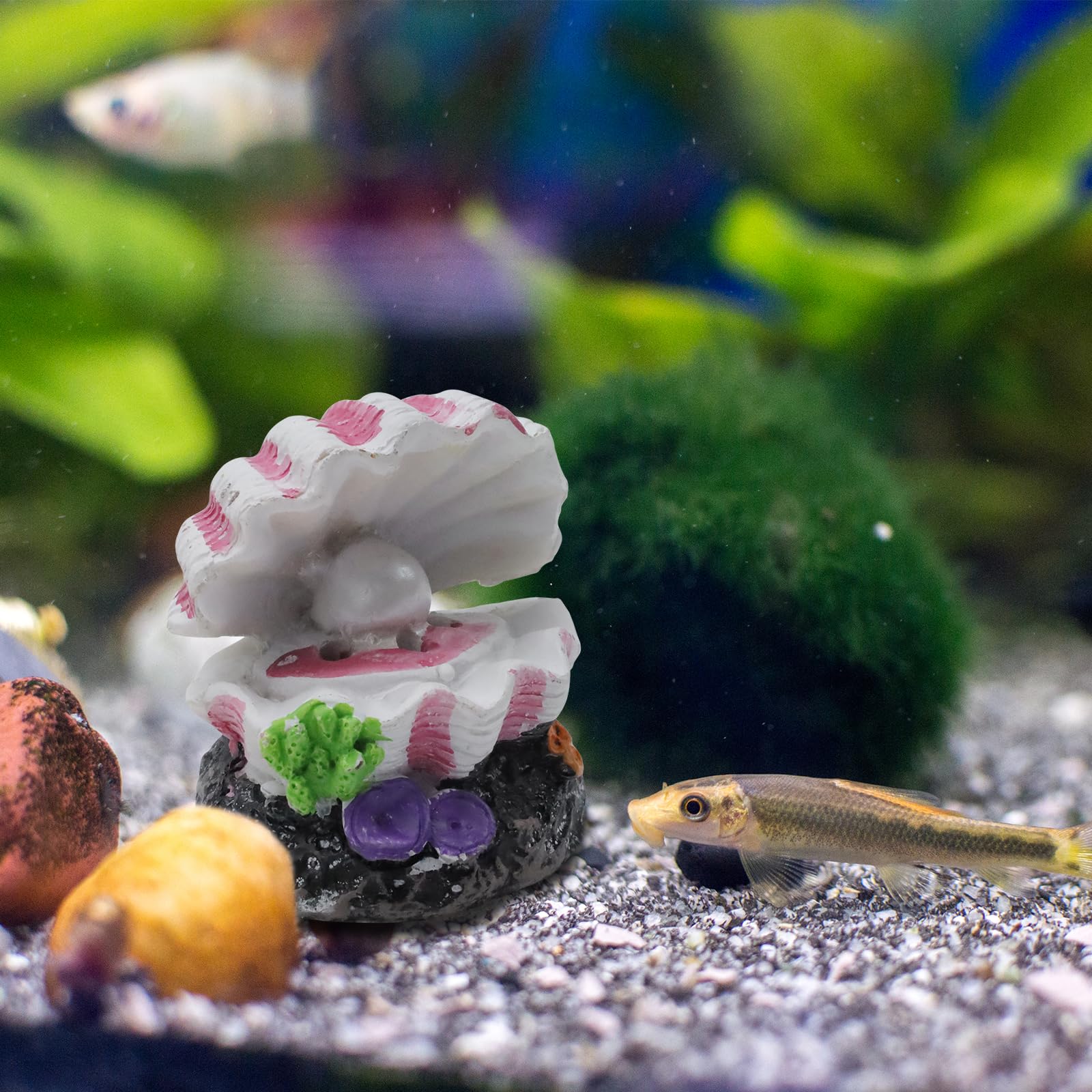 Tighall underwater-shell scene elevates tank aesthetics with soothing bubbles.