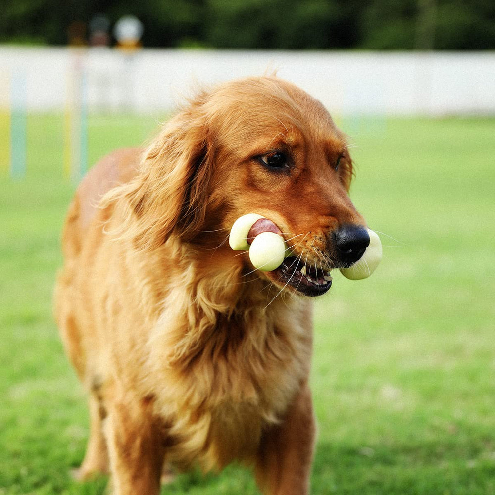 Tikaton aggressive-chewer toy; built to withstand strong chewing sessions.