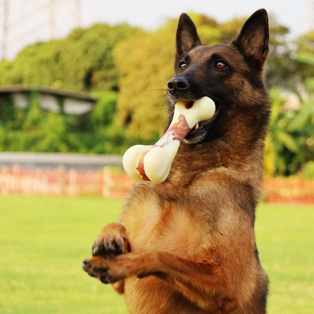 Tikaton nylon dog chew toy; high durability supports extended chewing sessions.