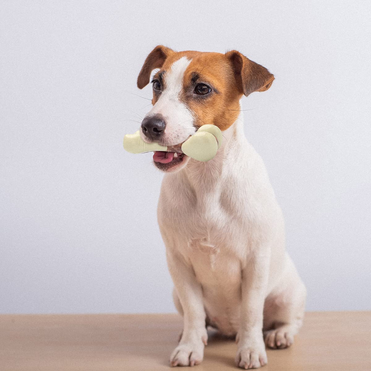 Tikaton dog chew toy packaging image shows premium design and reliable quality.