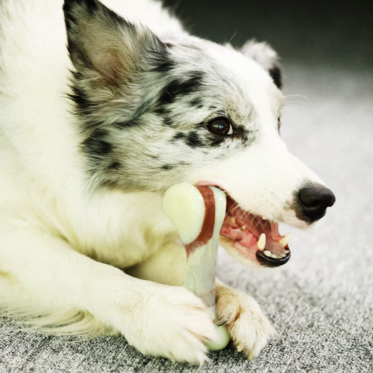 Tikaton indestructible dog chew nylon durability close-up shows long-lasting sessions