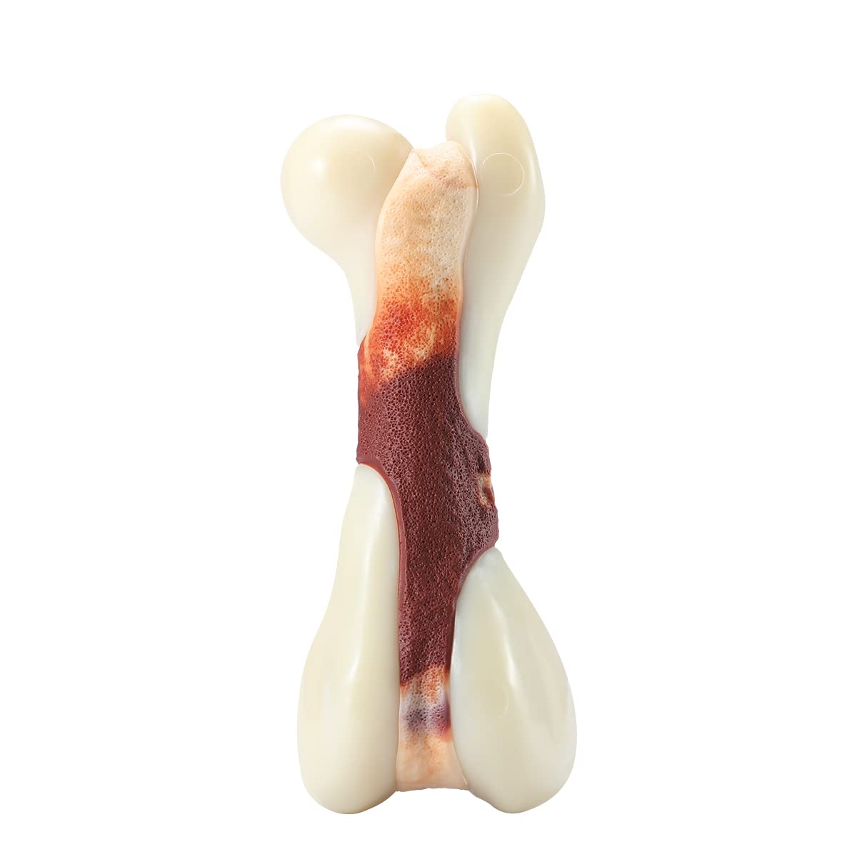 Tikaton signature bone shape engages dogs during outdoor playtime.