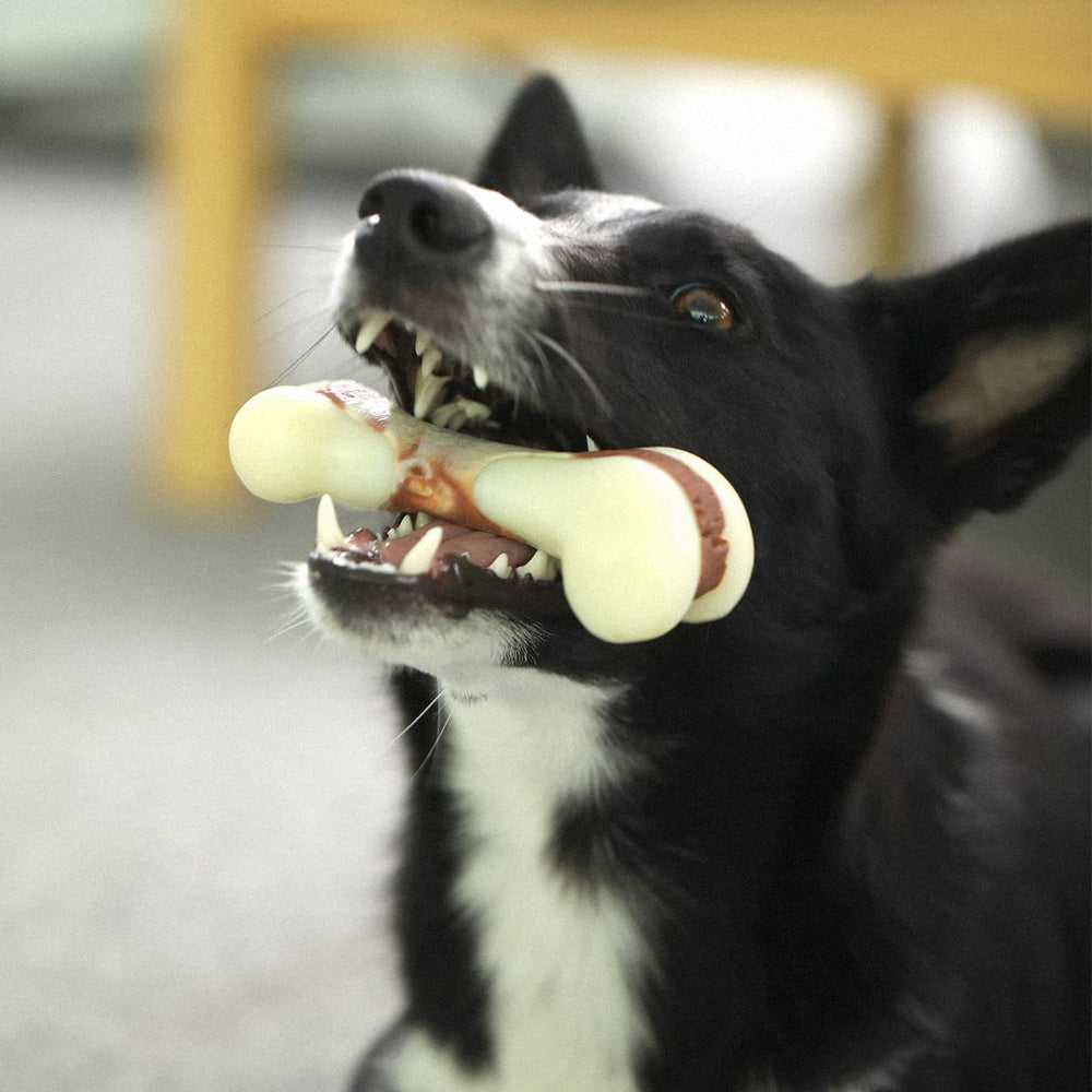 Tikaton indestructible dog chew for small to medium dogs under 25 pounds