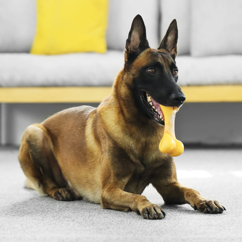 Tikaton indestructible dog chew toy chicken scent trail close-up indicates scent-driven engagement