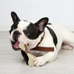 Tikaton peanut butter flavor chew toy attracts dogs for satisfying teething sessions.