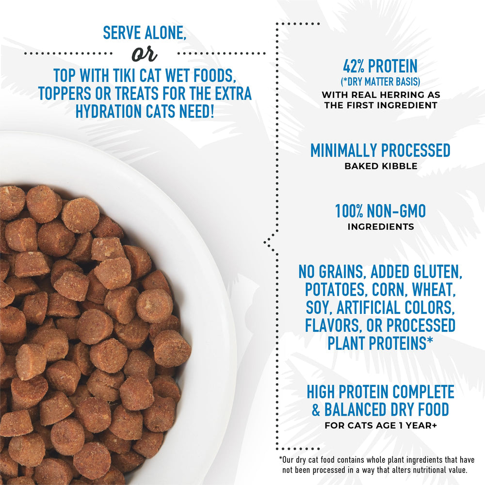 Tiki Cat Born Carnivore adult cat during mealtime illustrating nutritious, complete meal.