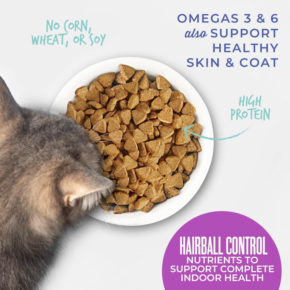 Tiki Cat Born Carnivore indoor-health card emphasizes complete nutrition for indoor cats.