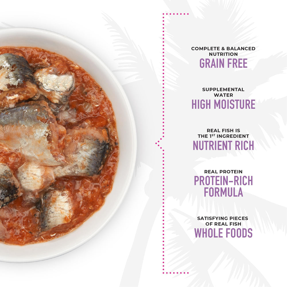 Tiki Cat Grill grain-free wet food closeup highlights grain-free nutrition