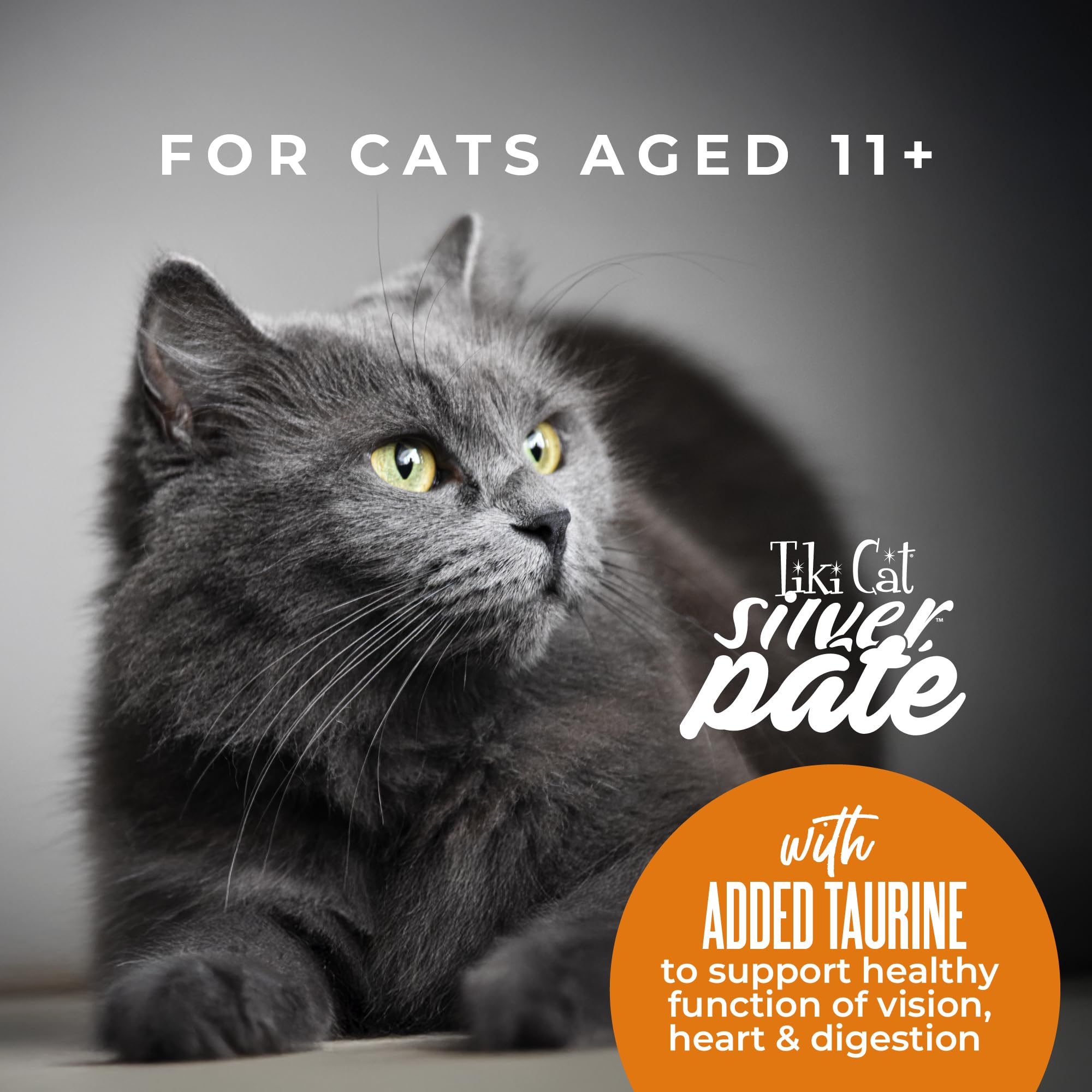 Tiki Cat Silver Pate Pack Display shows 12-can case ready for stocking