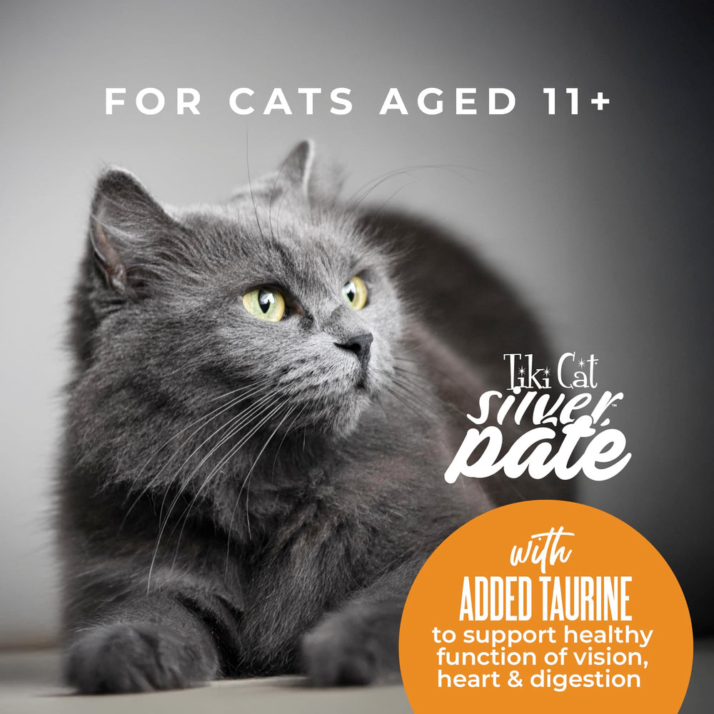 Tiki Cat Silver Pate Pack Display shows 12-can case ready for stocking