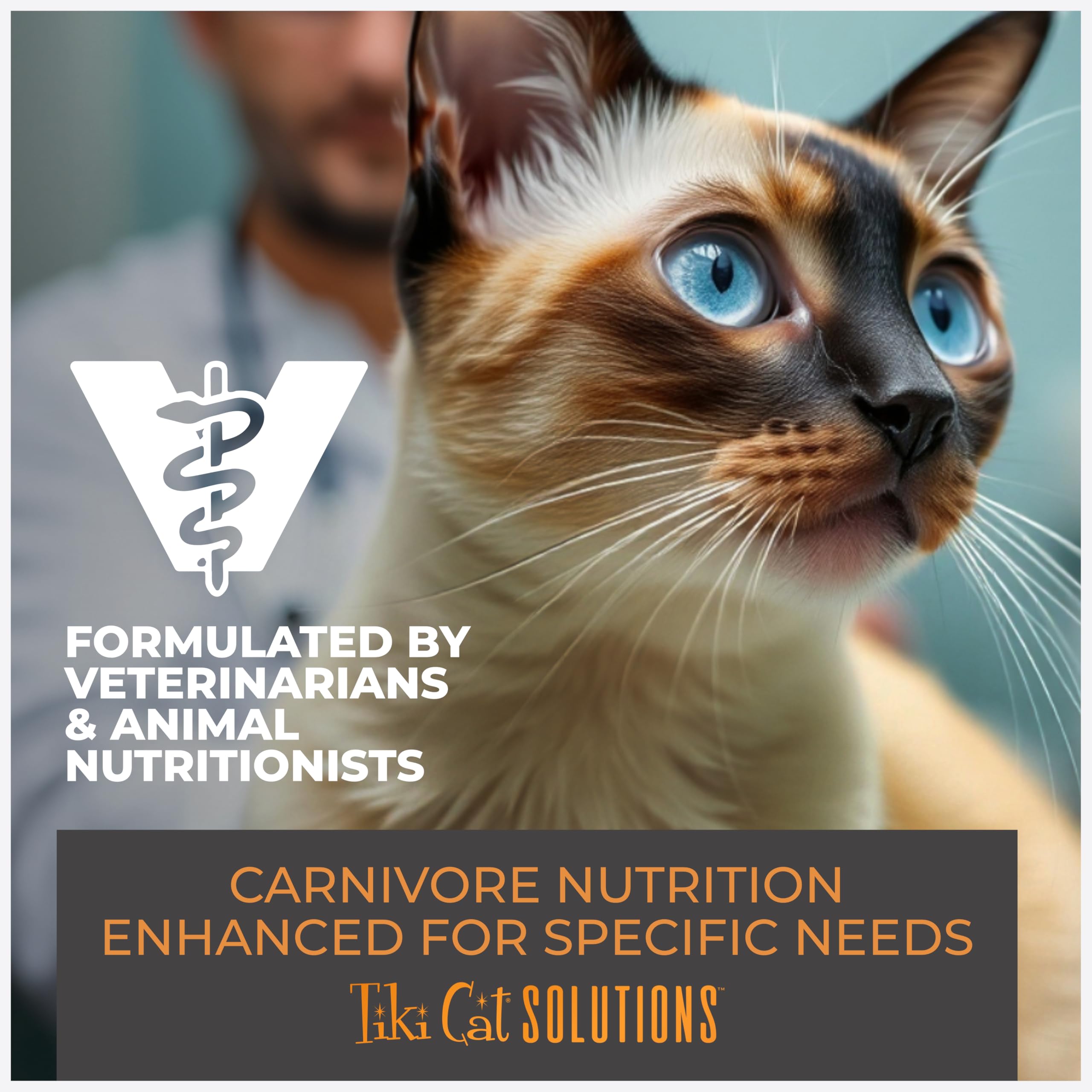 Tiki Cat Solutions Easy to Digest Kibble demonstrates accessible protein