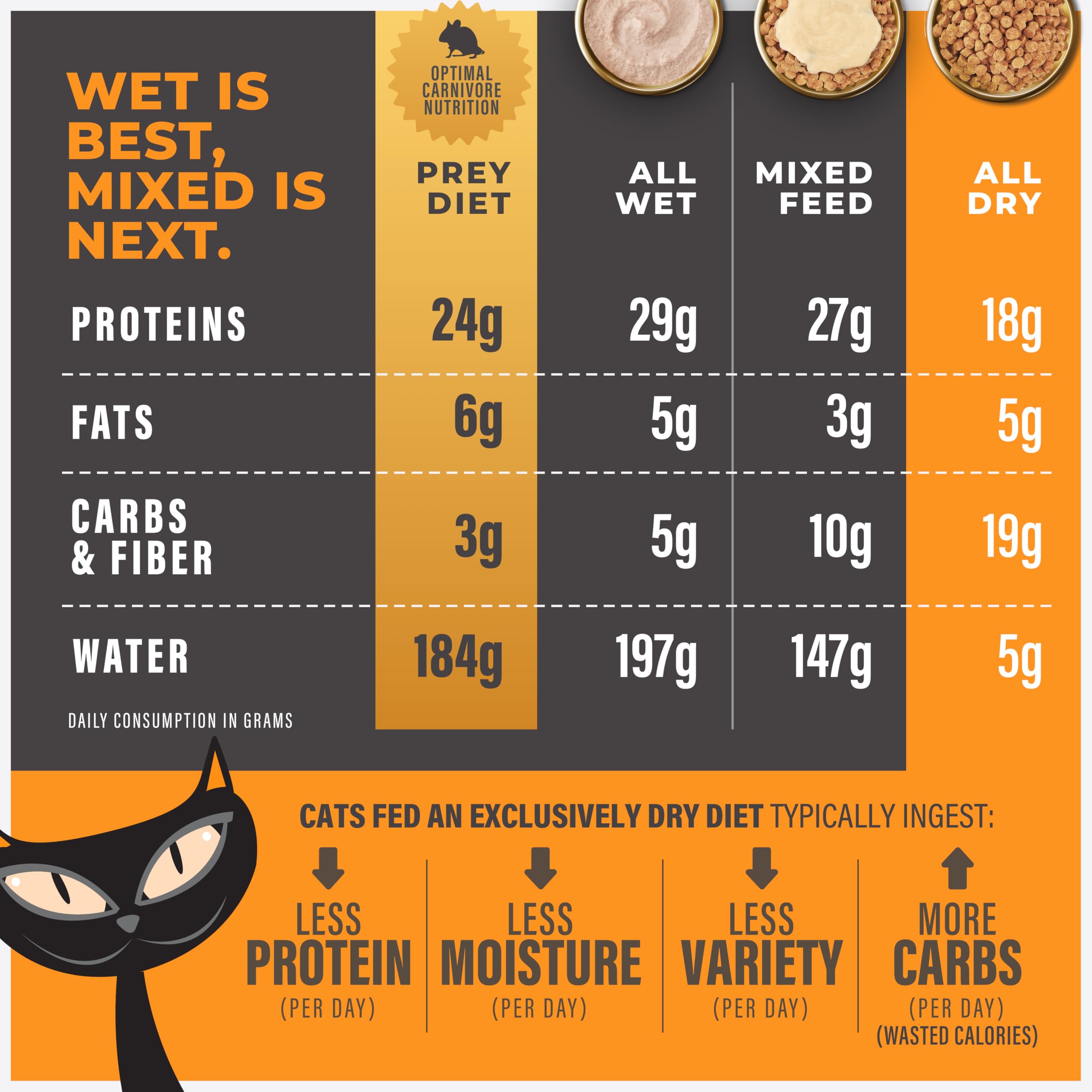 Tiki Cat Solutions Gentle Fiber emphasizes softer digestion in every bite