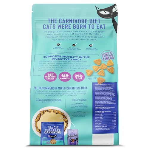 Tiki Pets hairball control chicken recipe bowl — helps reduce hairball formation.