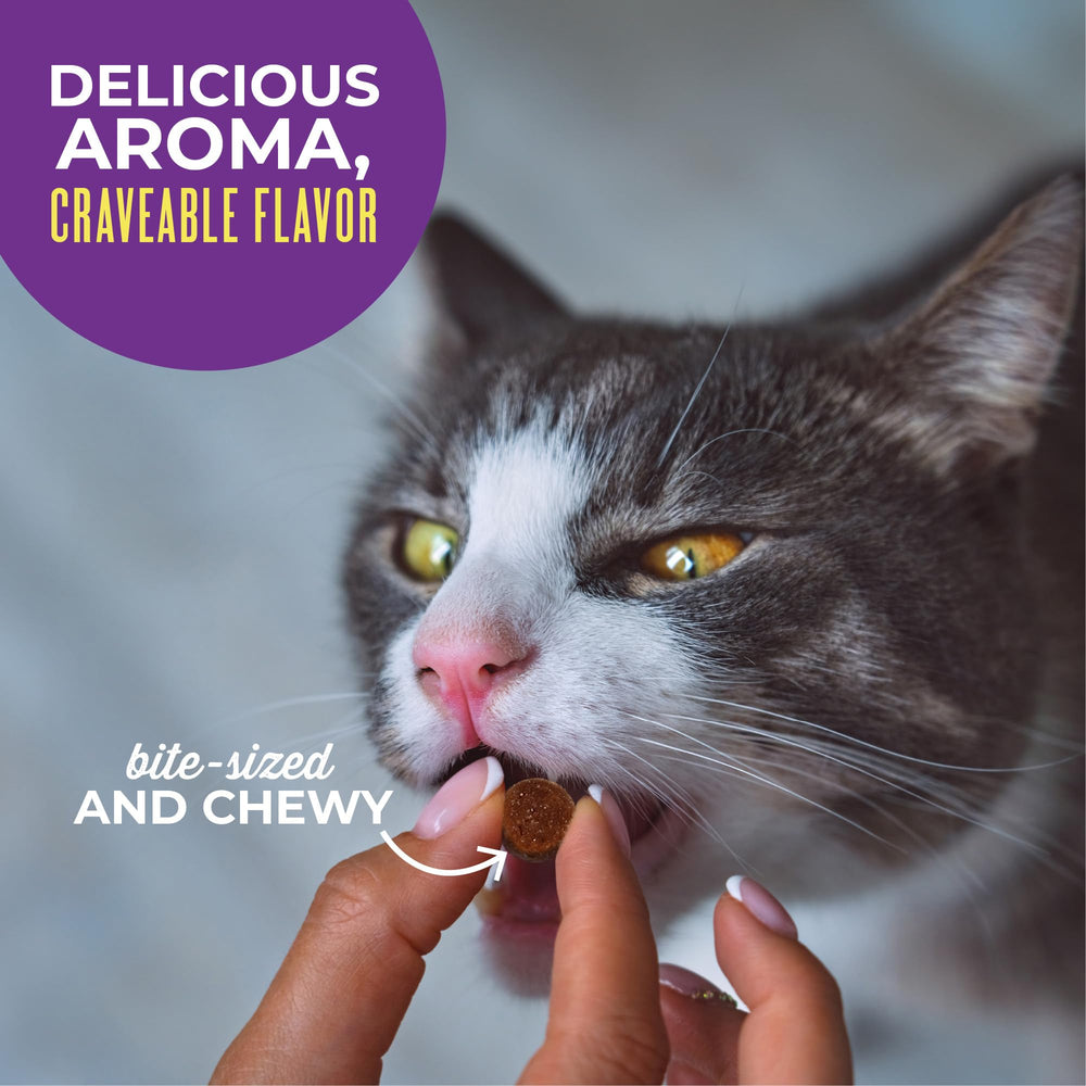 Tiki Cat Soft & Chewy chicken treats nutrition graphic highlights 3 calories per treat