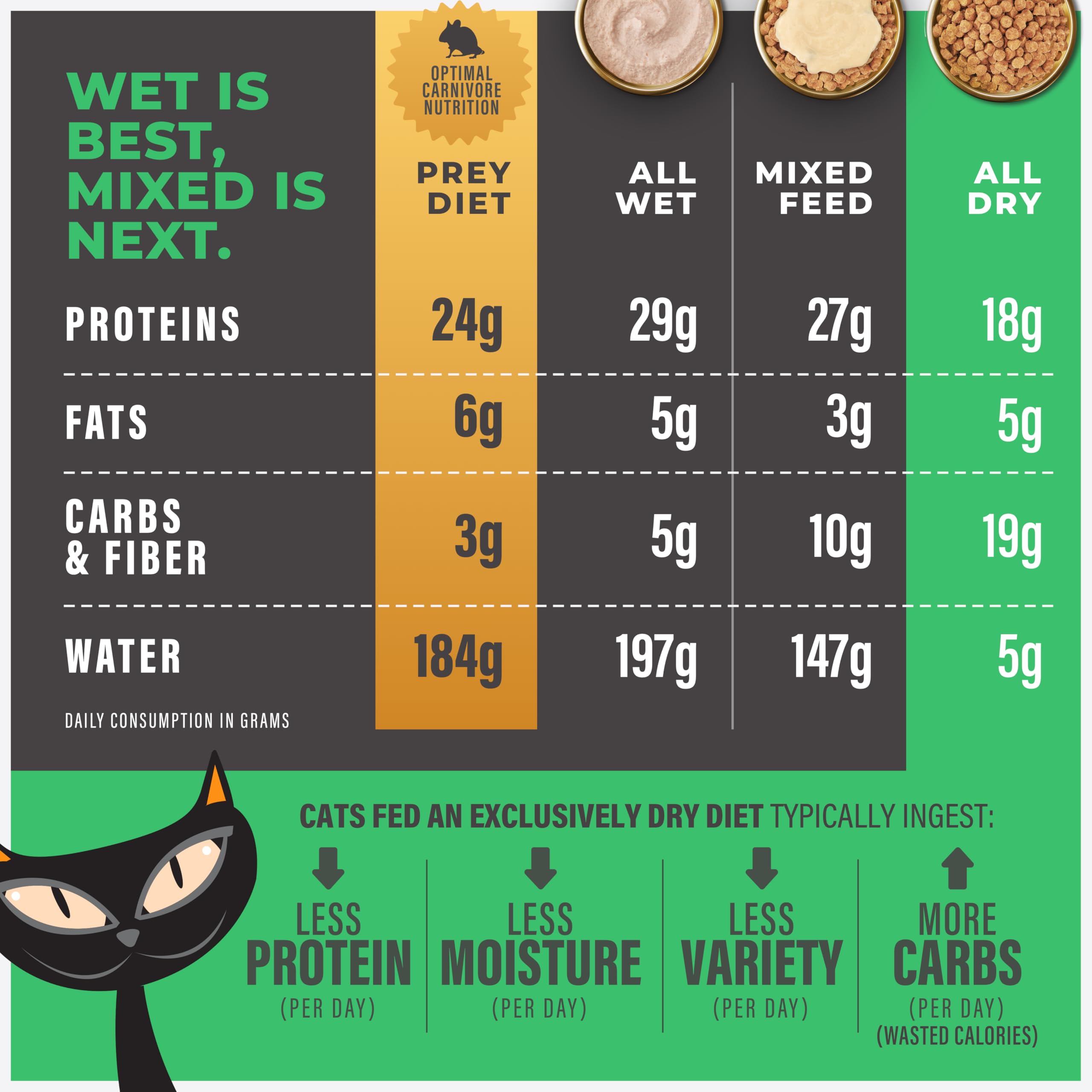 Tiki Cat Solutions brushing-action kibble closeup highlights mechanical cleaning as cats chew.