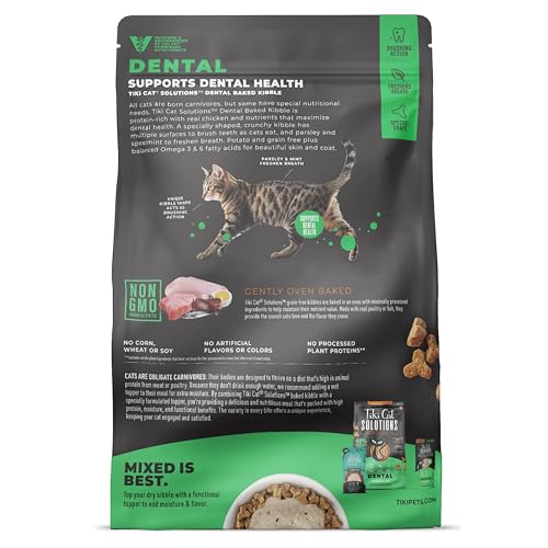 Tiki Cat Solutions dental chicken protein closeup highlights real chicken as primary protein source.