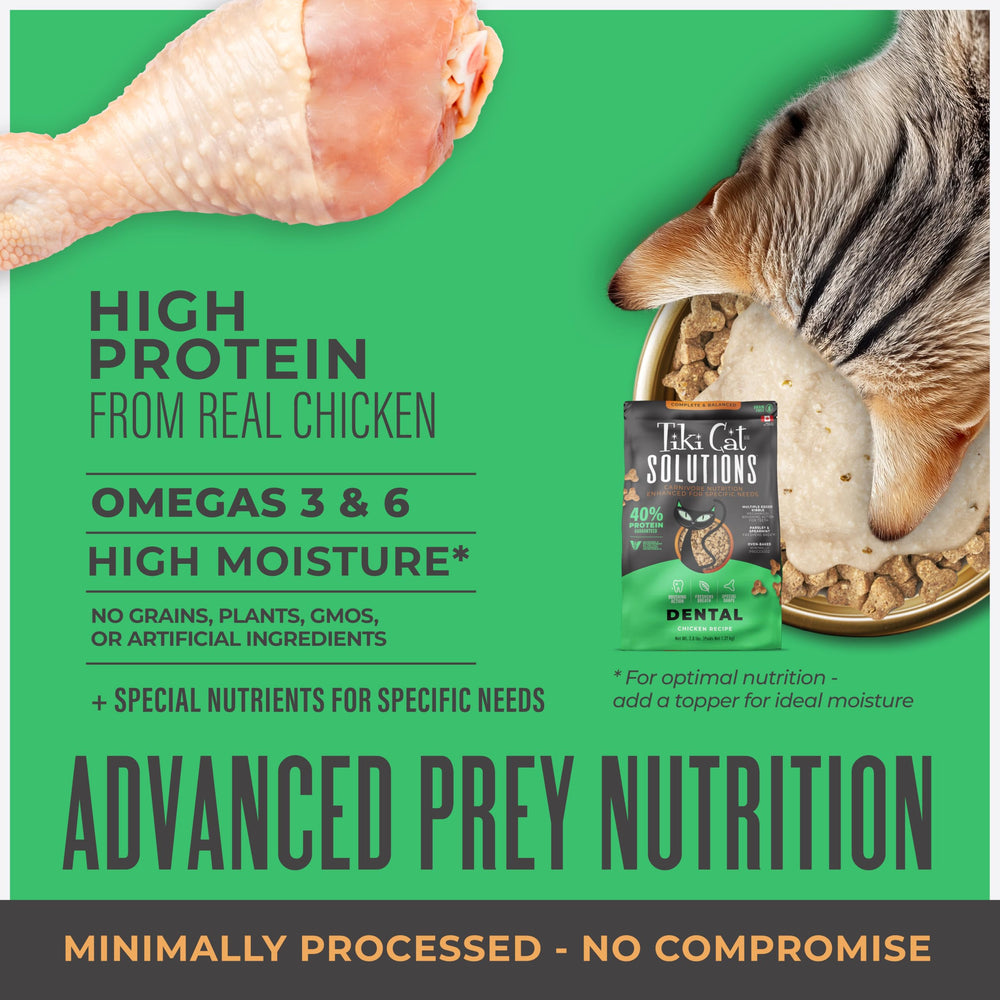 Tiki Cat Solutions parsley-mint breath closeup conveys breath-freshening herbs.