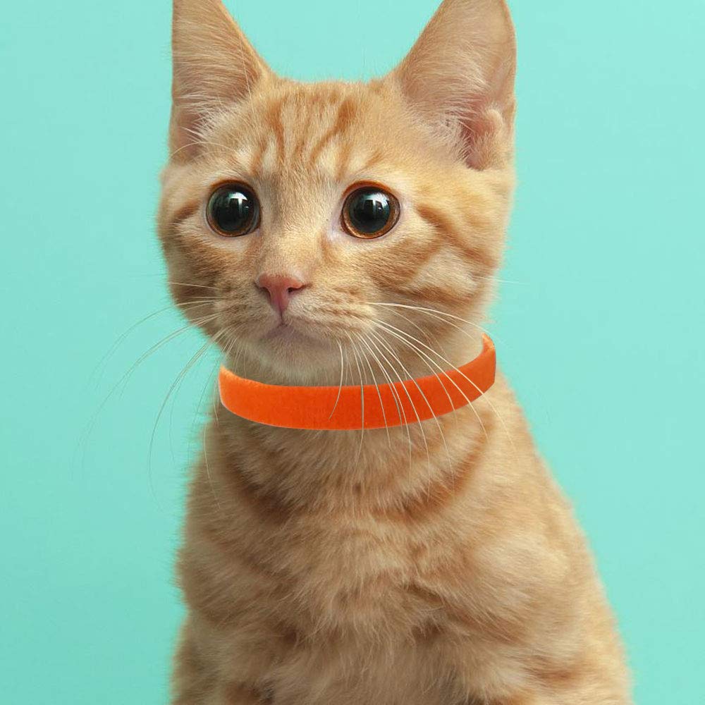 Tilious 15-color collar set supports easy identification across litters