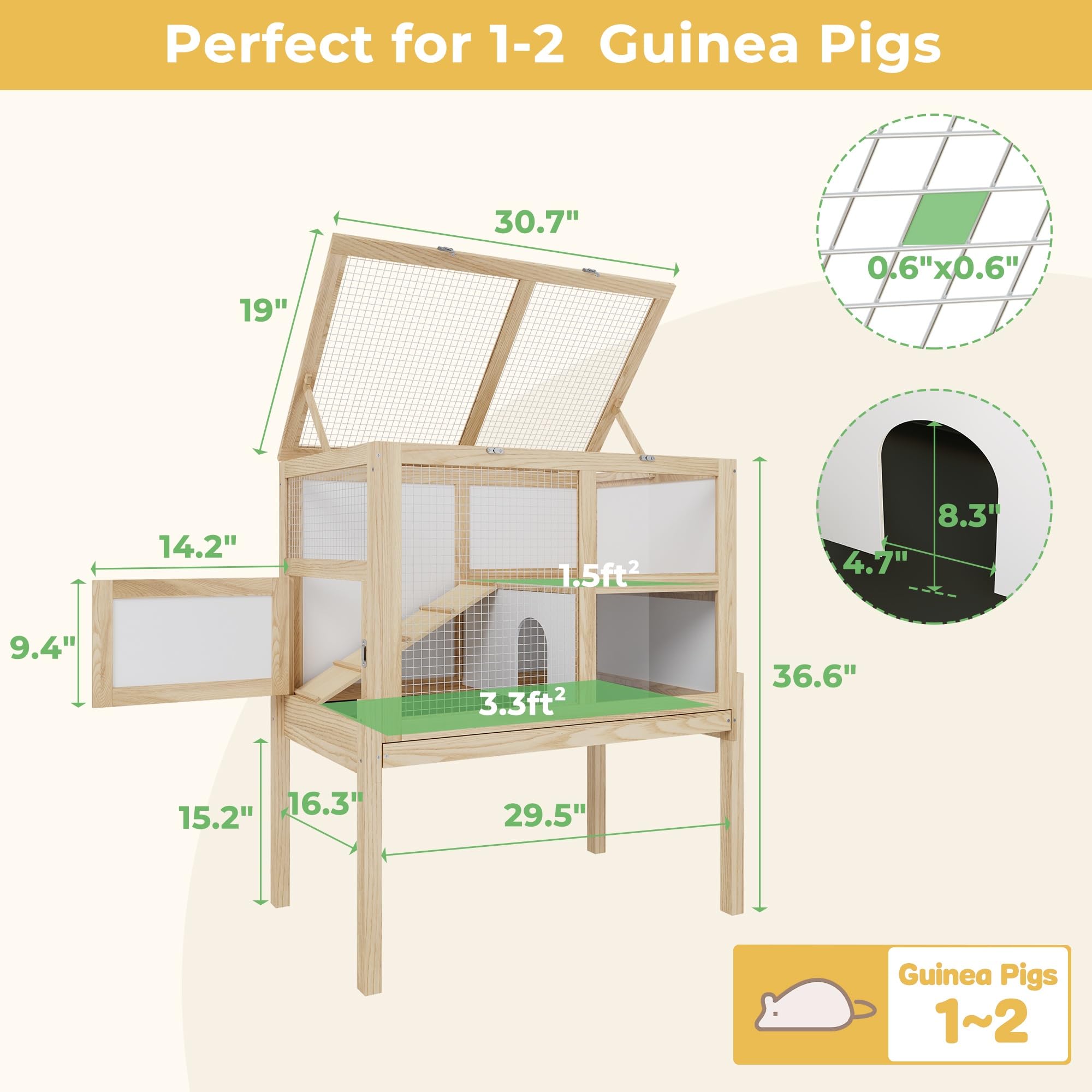 Timechee guinea pig cage 2-story setup promotes exploration and exercise.