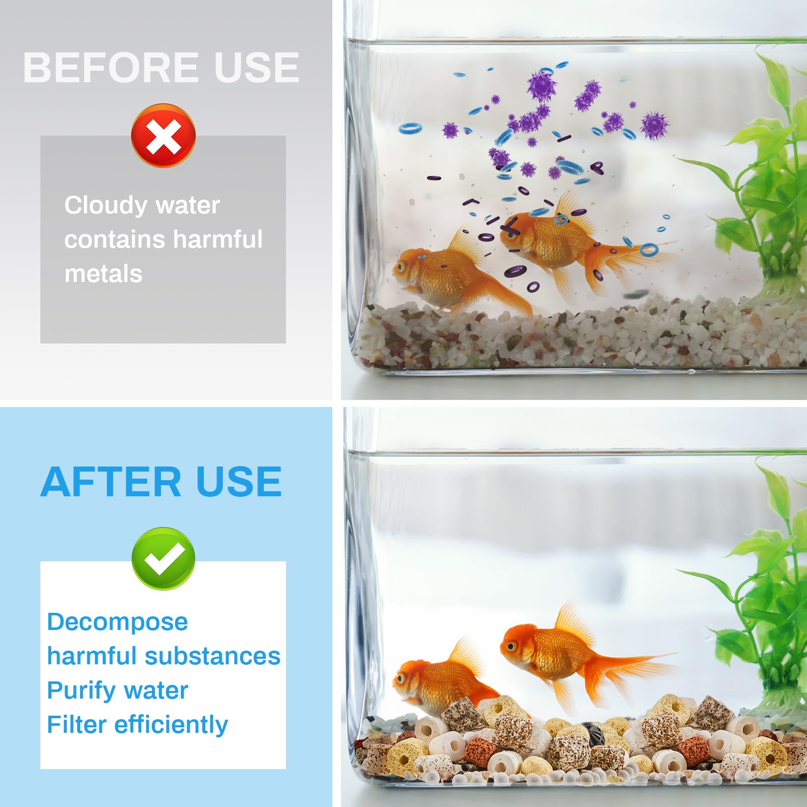 Timgle biological beads promote steady bio-filtration and stable tank conditions.