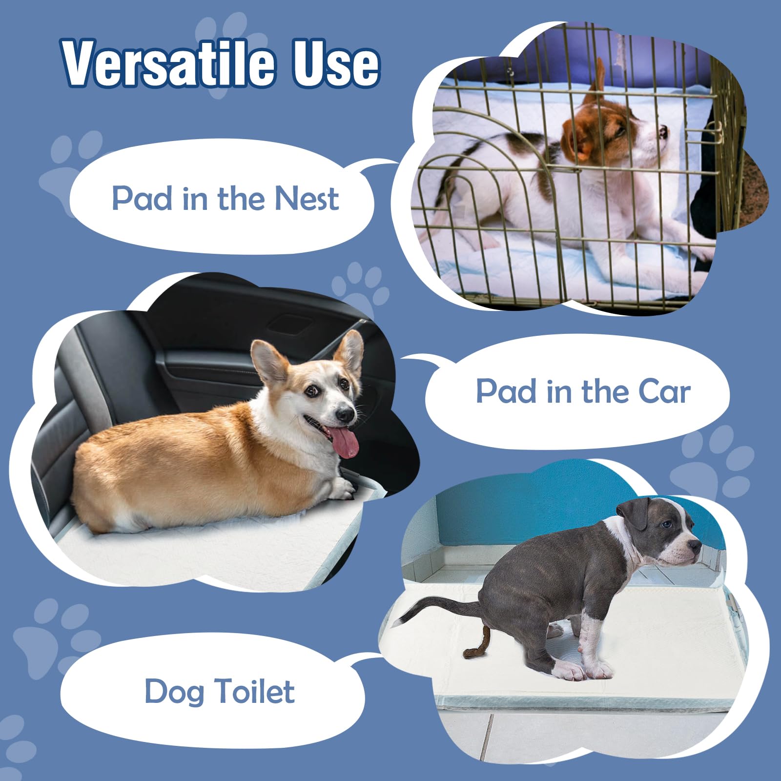 TIMINGILA leak-proof tray design shown with reinforced edges.