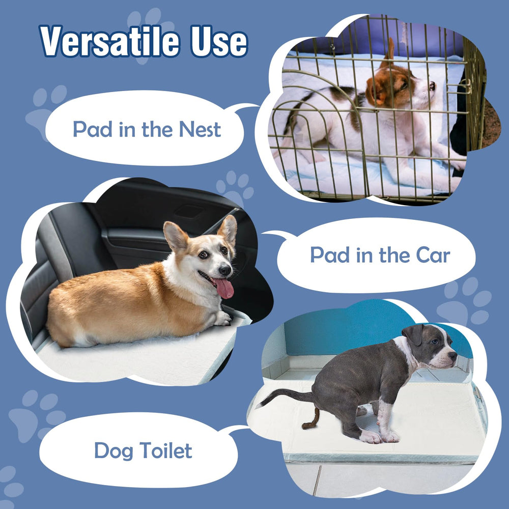 TIMINGILA leak-proof tray design shown with reinforced edges.