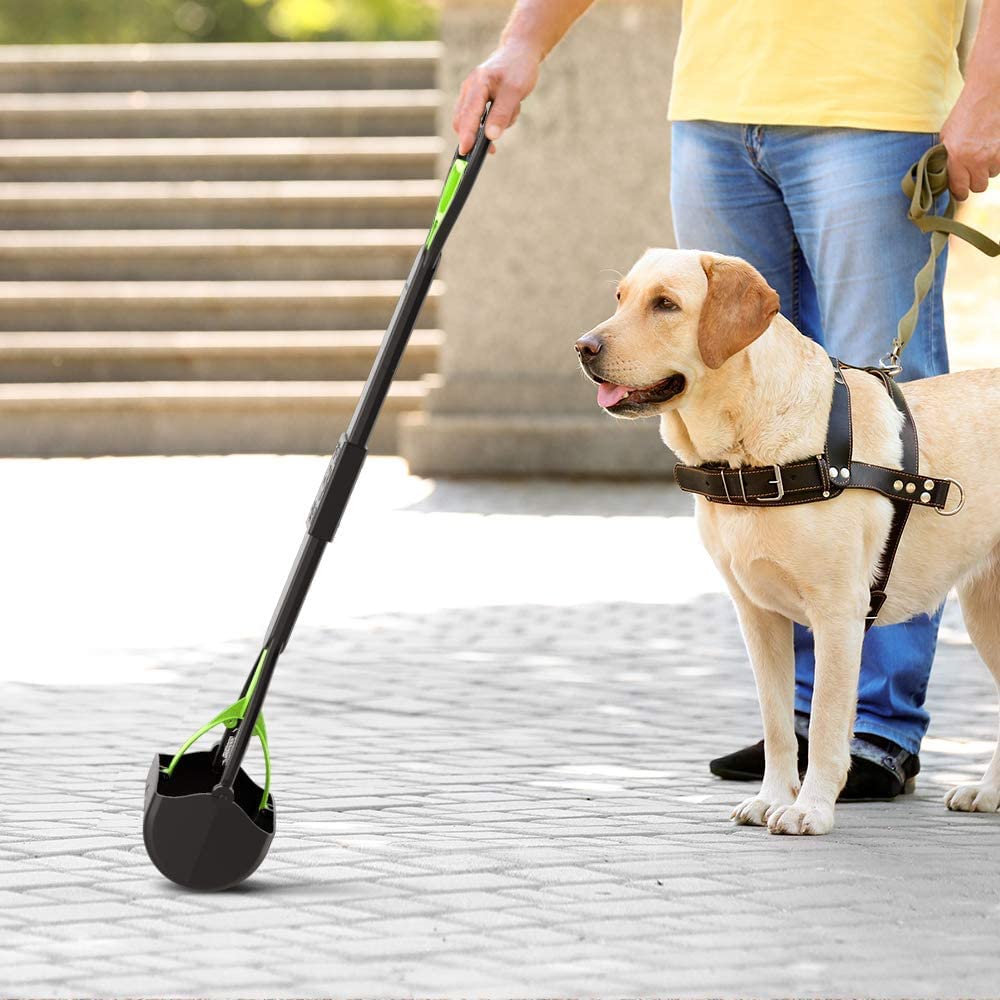 TIMINGILA-concrete-grass-surfaces works across lawns, gravel, and paths.