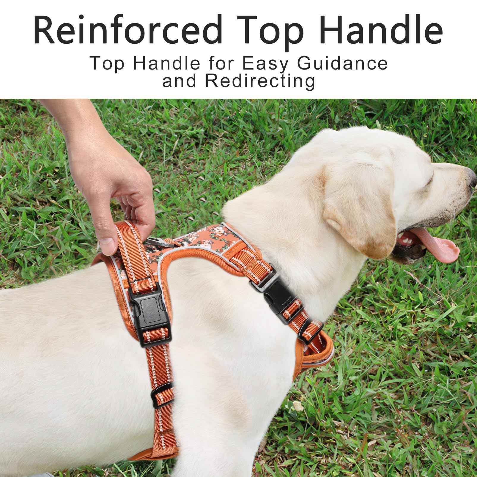 Timos harness back handle enables closer guidance during outings or car trips.