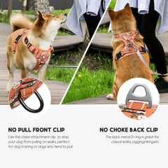 Timos back control-handle offers closer control when a dog lunges.