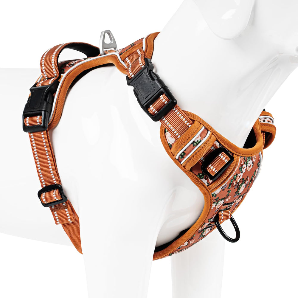 Timos easy-on no-pull harness supports snag-free daily wear.