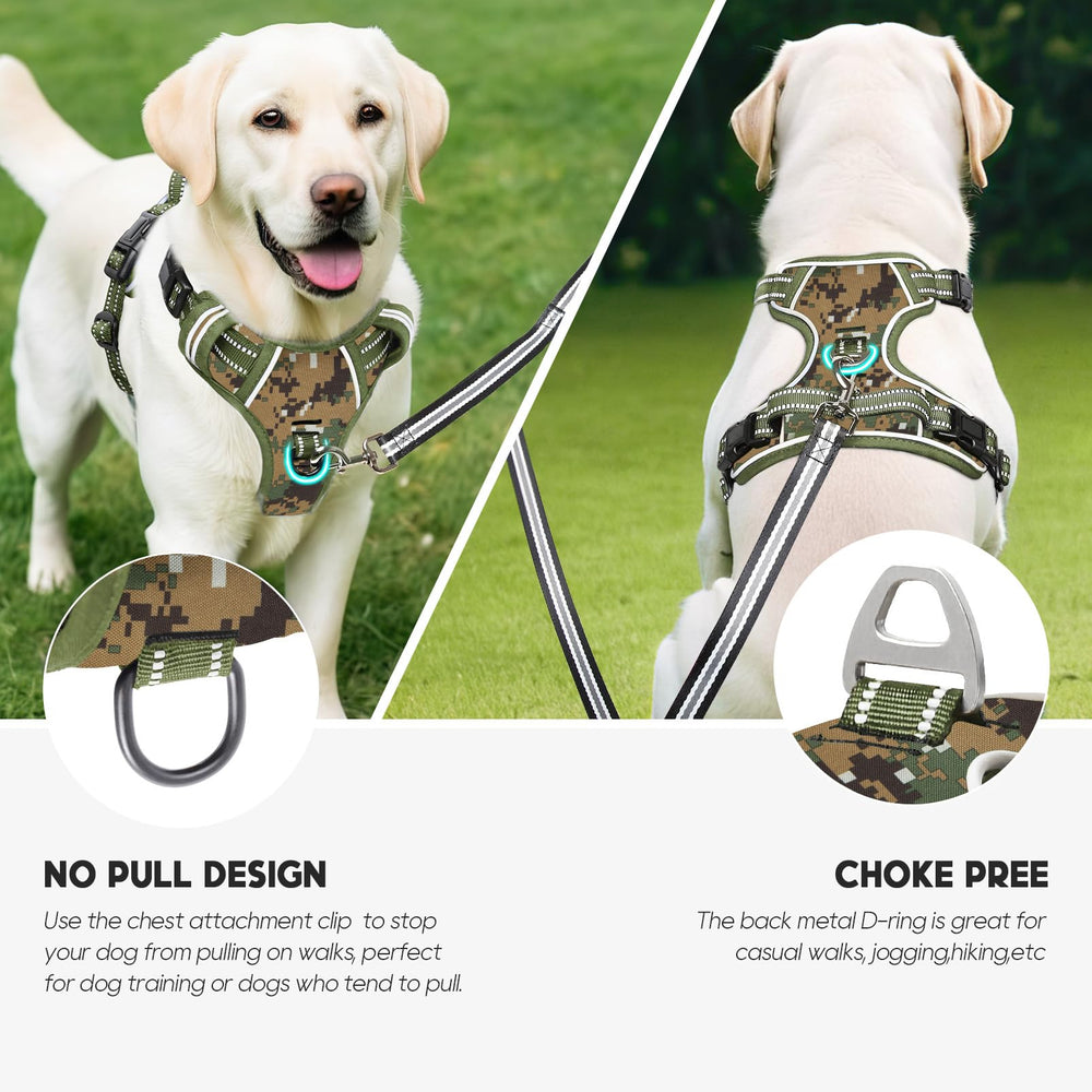 Timos harness features two metal leash rings for versatility