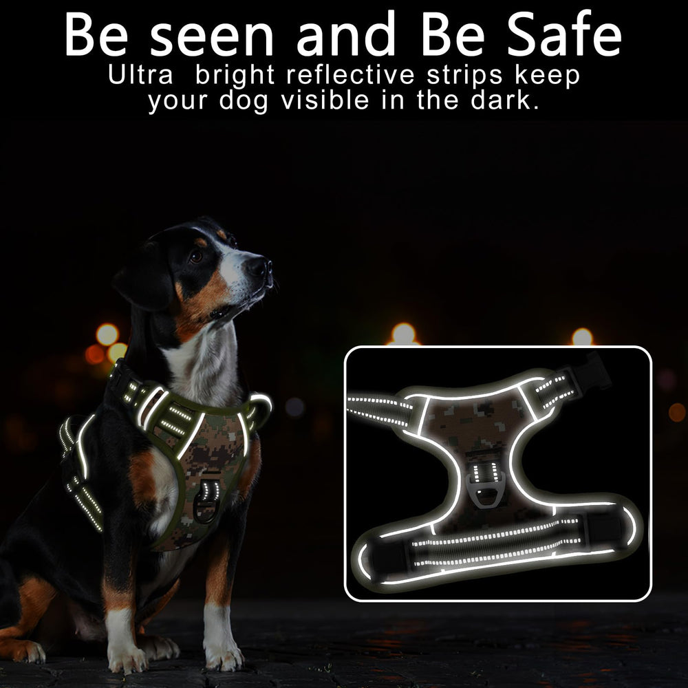 Timos harness shows reflective strip for safer night walks