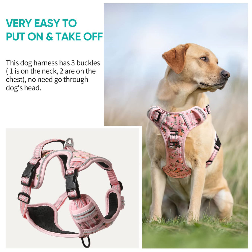 Timos dog harness - soft padding and breathable lining for comfortable outings