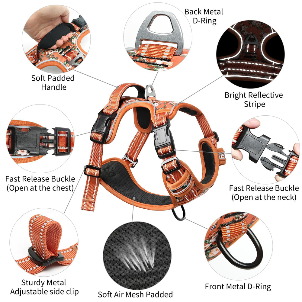 Timos harness with two leash rings offers versatile control during walks.