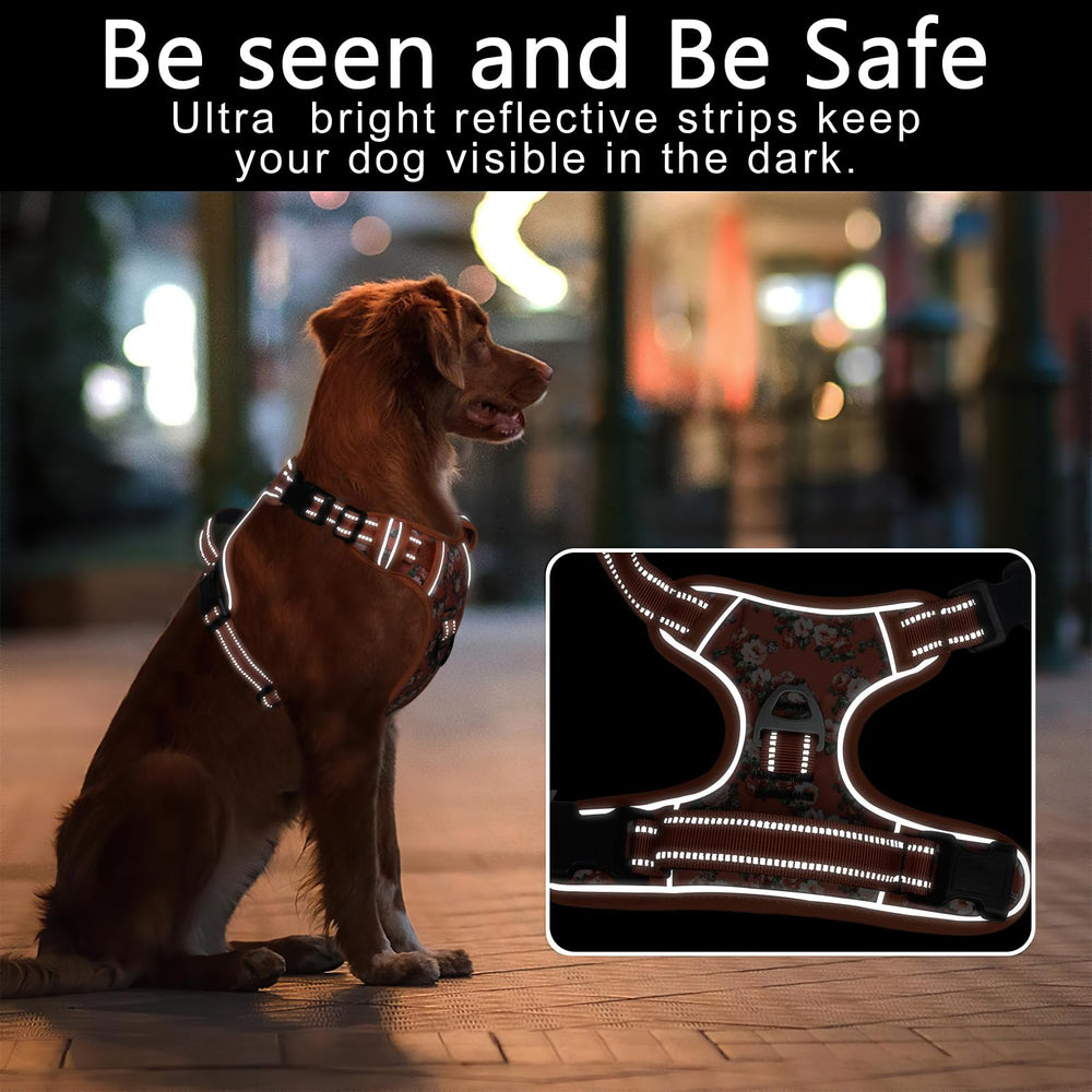 Timos harness with two metal rings supports versatile training and casual strolls.