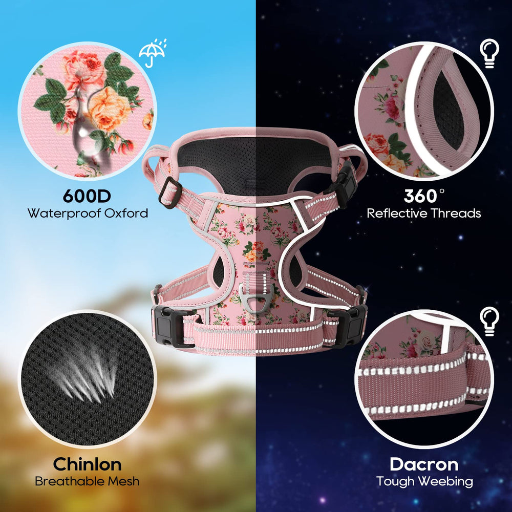 Timos No Pull Harness breathable mesh keeps dogs cool during workouts