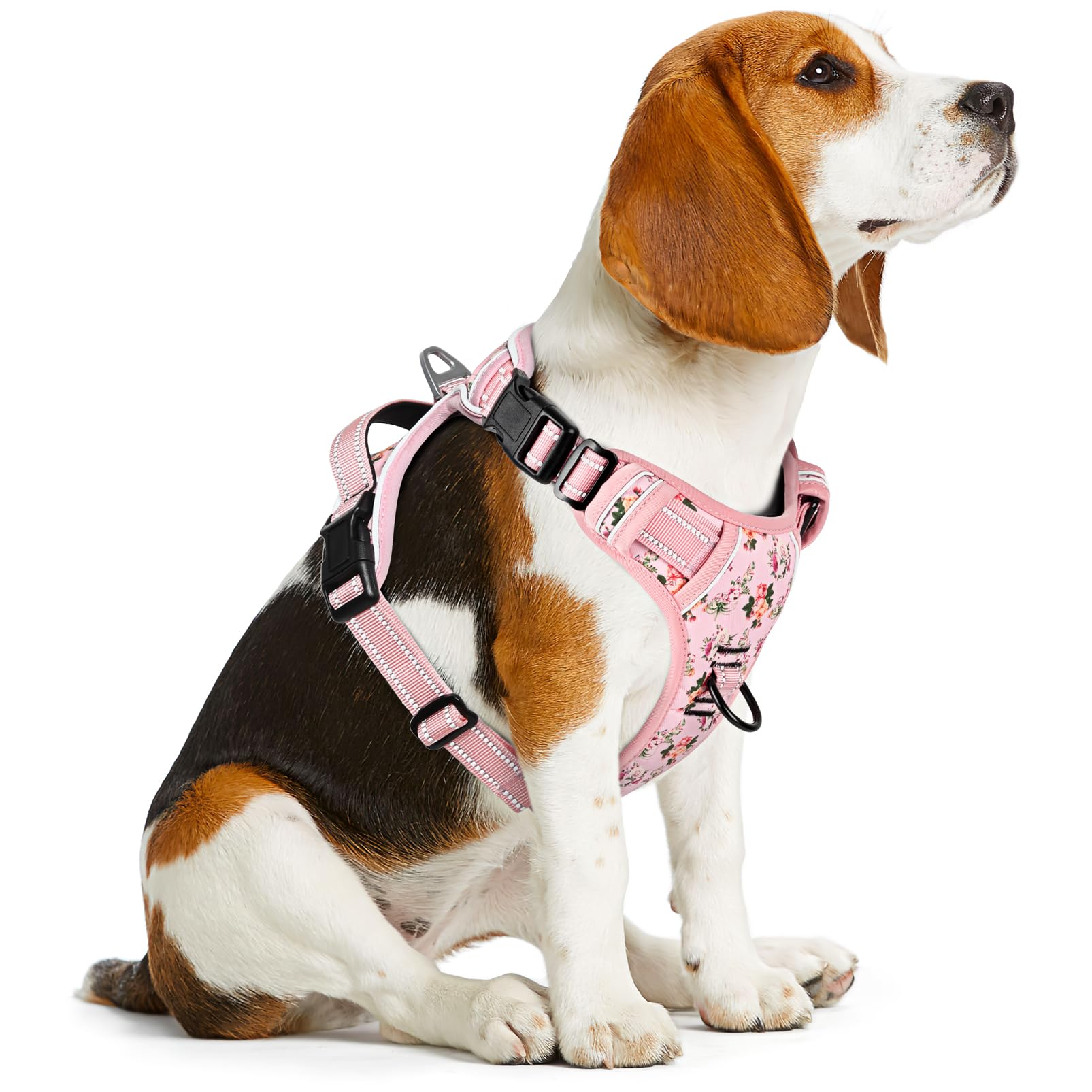 Timos No Pull Harness soft padding protects shoulders during training