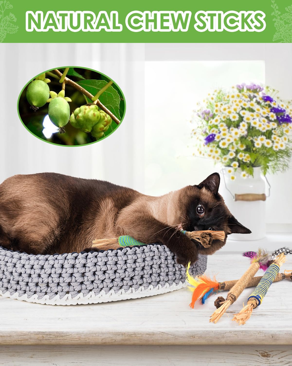 The tindtop cat interaction playtime image communicates playful engagement.