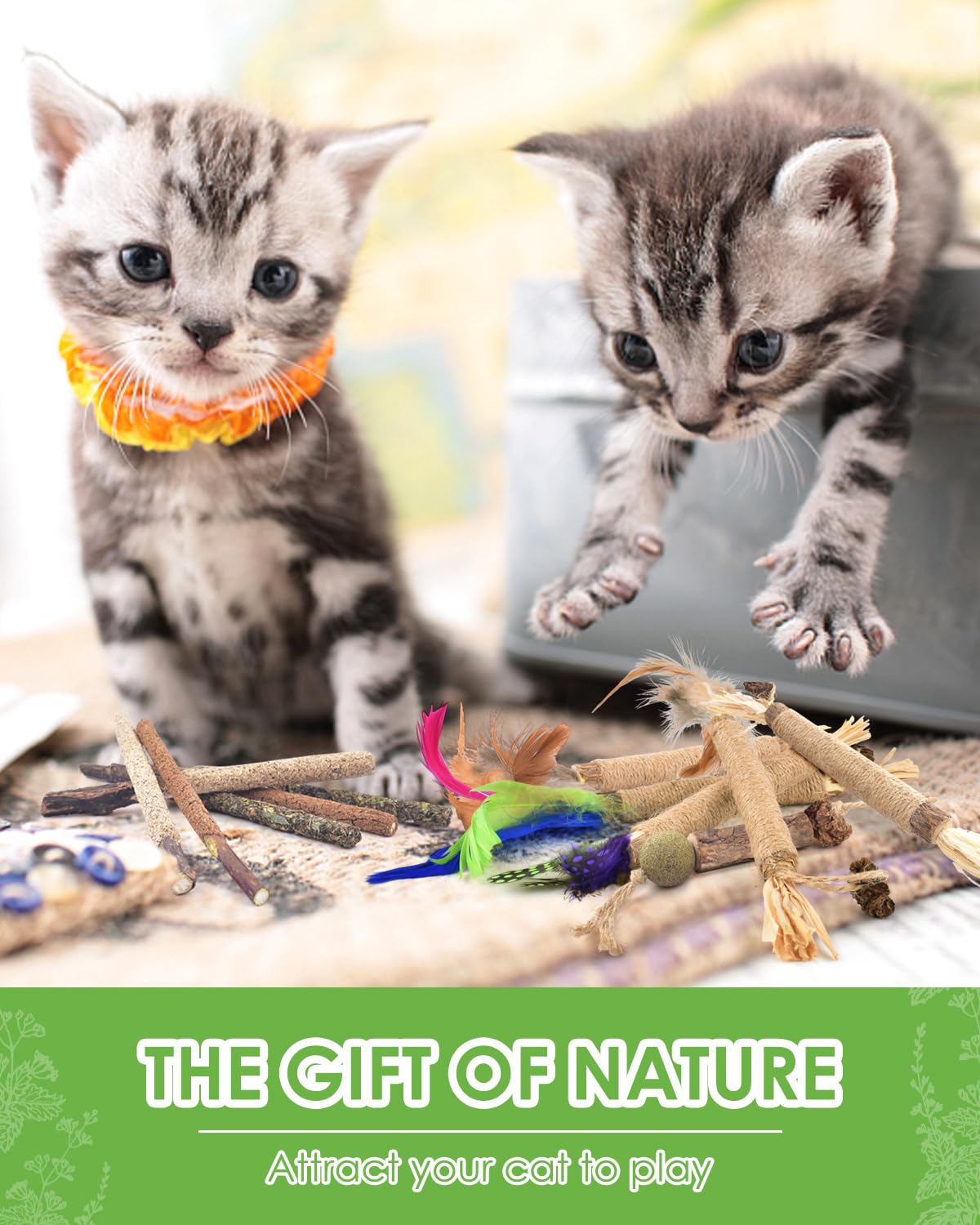 TINDTOP cat relaxed after chew showing calm mood and satisfaction.