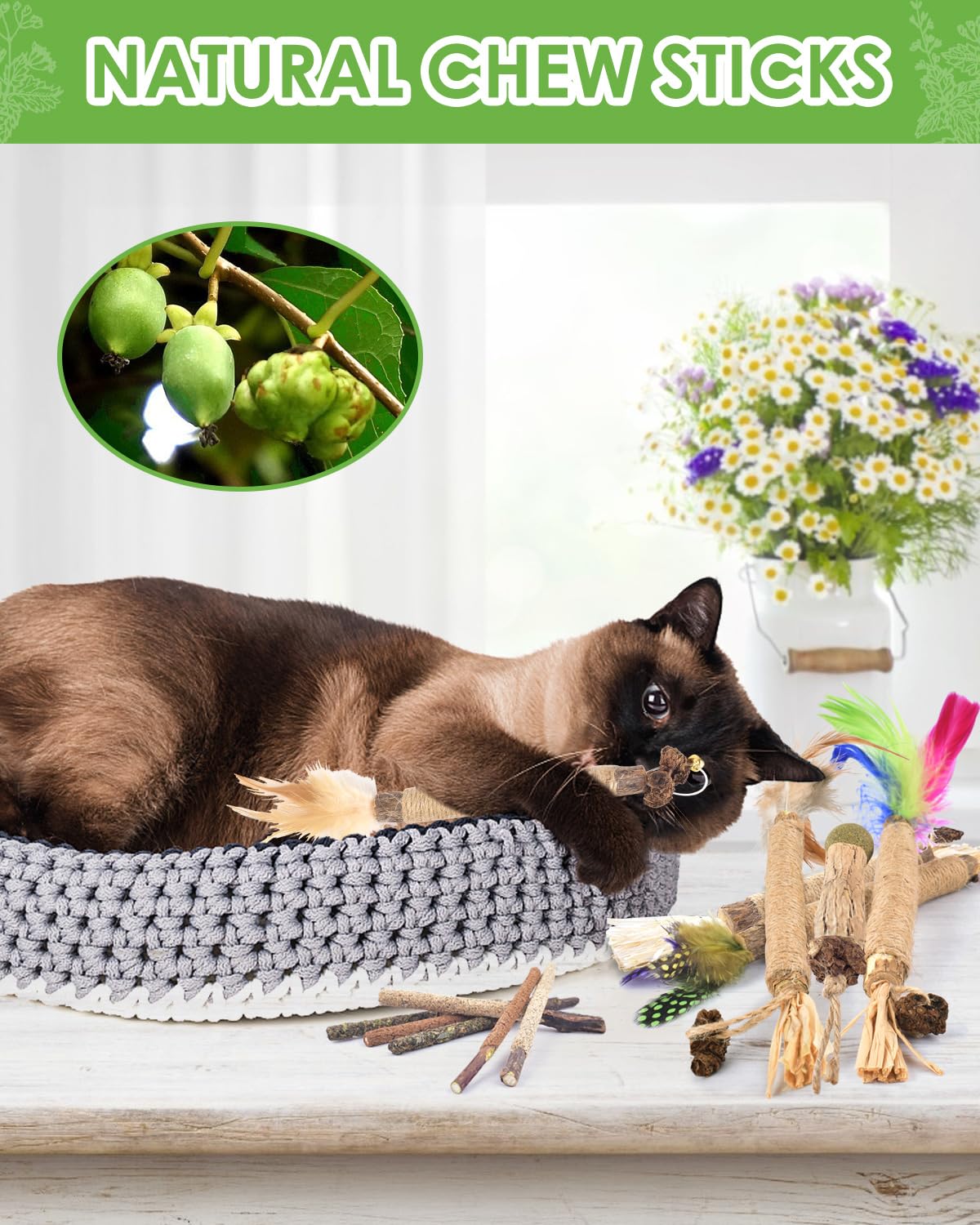 TINDTOP natural materials badge on silvervine stick indicating safe chewing.