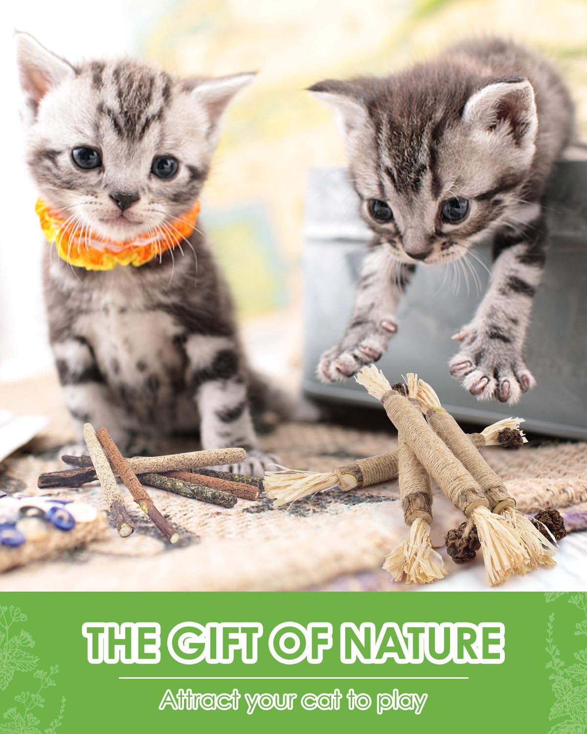 TINDTOP silvervine cat reaction image captures curious cats exploring the sticks.