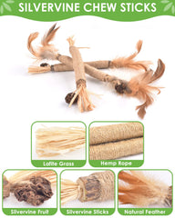 TINDTOP Silvervine Sticks with catnip scent encourage activity and relaxed appetite in kittens.