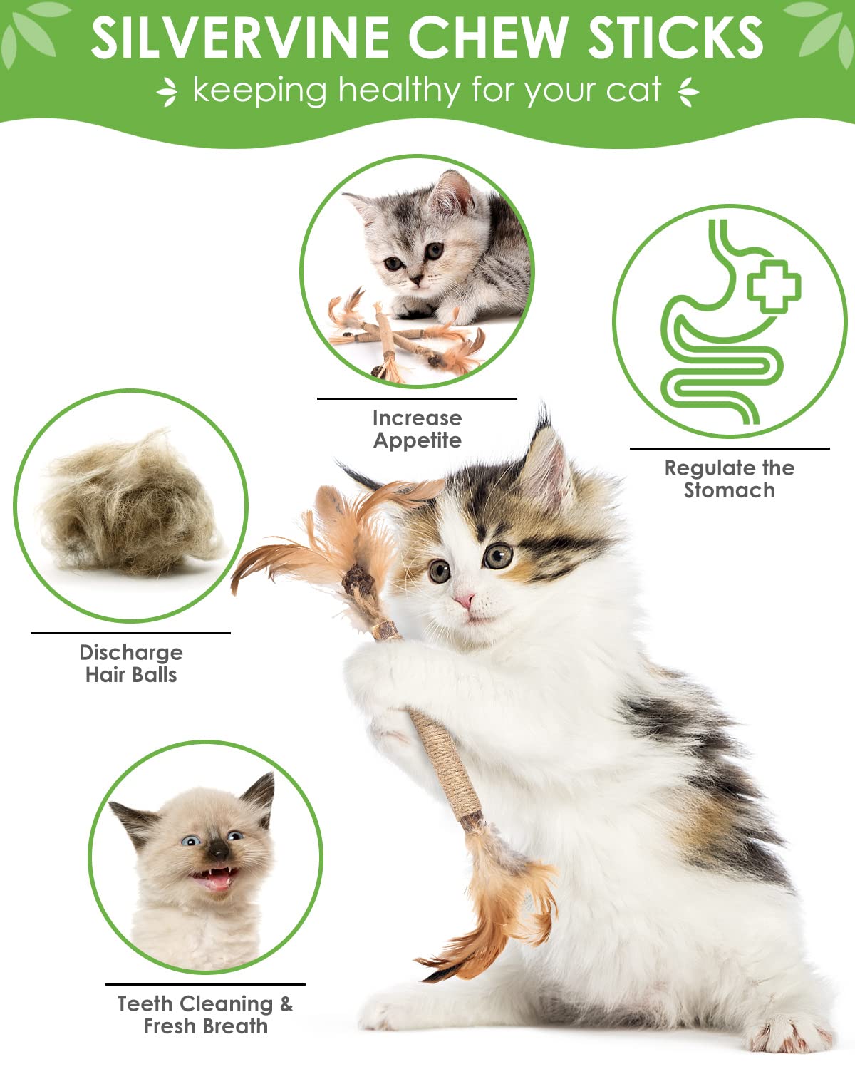 TINDTOP Silvervine Sticks feather toy engages cats and promotes interactive enrichment during play.