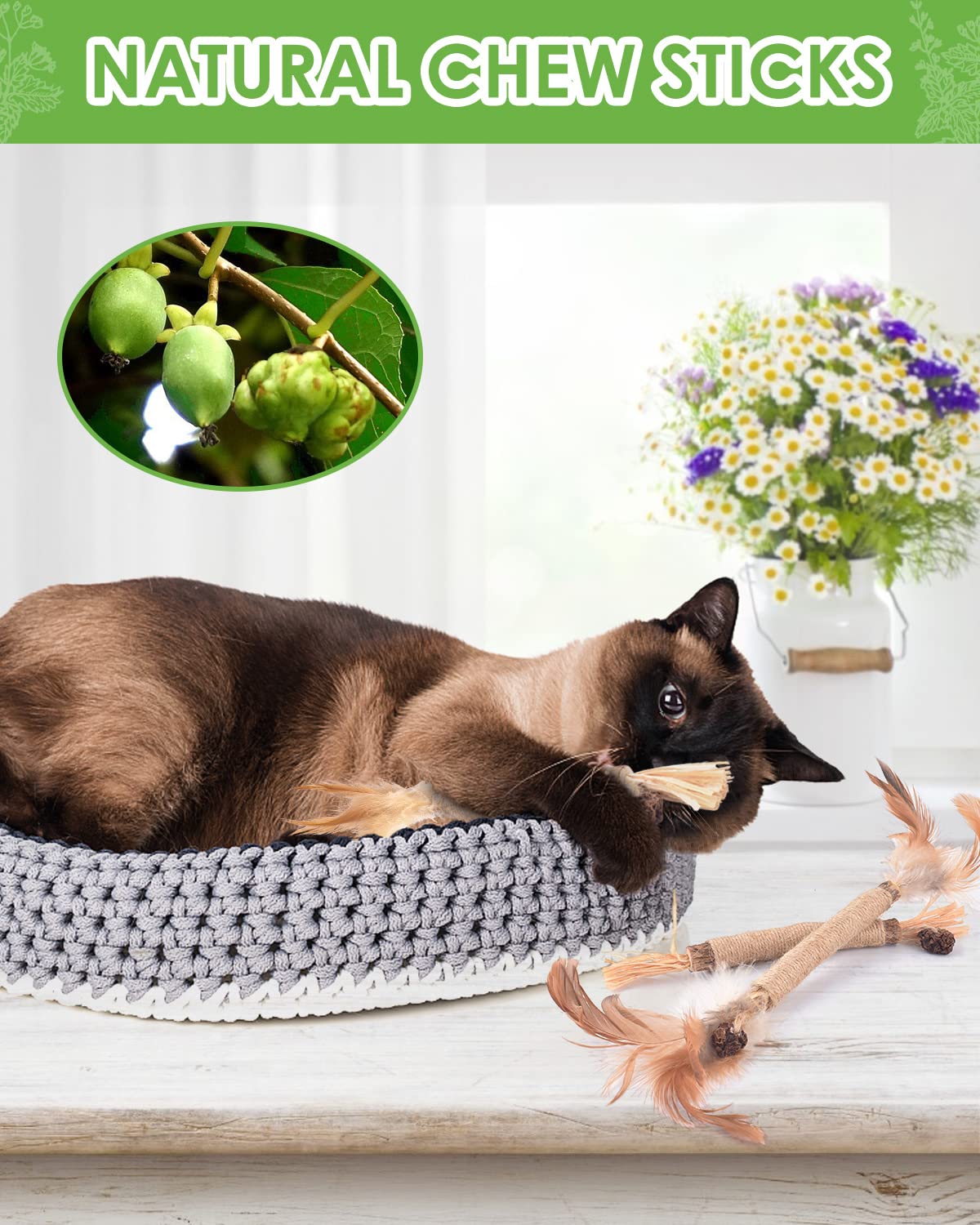 TINDTOP Silvervine Sticks couple gall fruit with natural fibers for safe chewing.