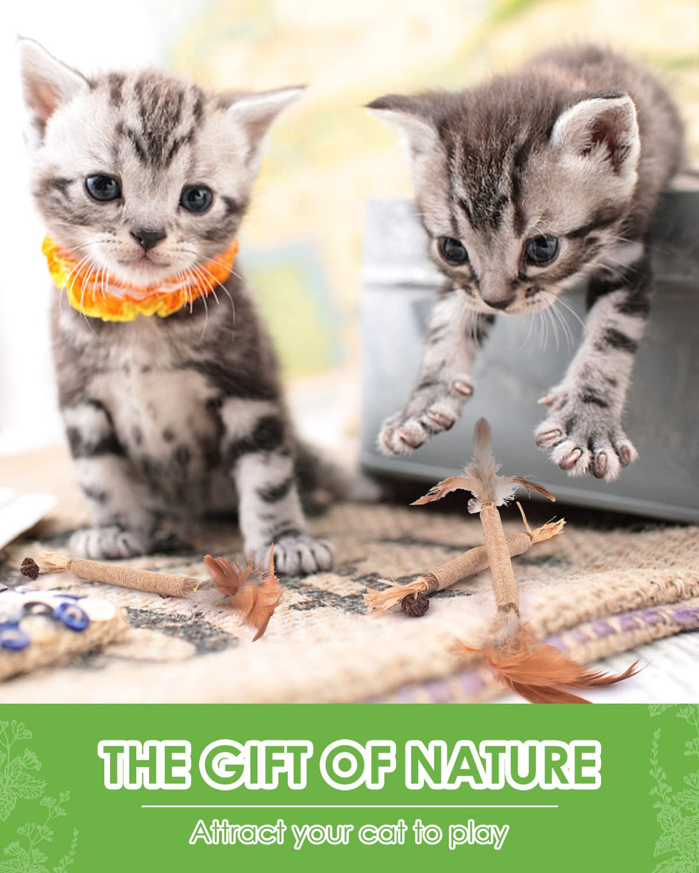 TINDTOP Silvervine Sticks support grooming and digestion during playtime.