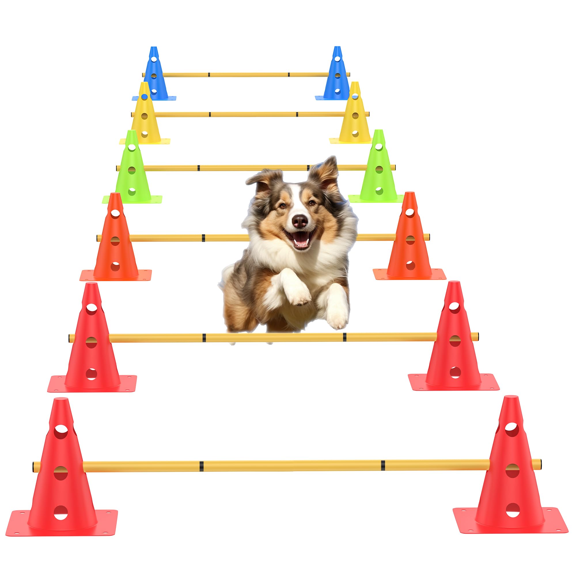 TINEPRY dog agility hurdle set ready for training drills to boost coordination