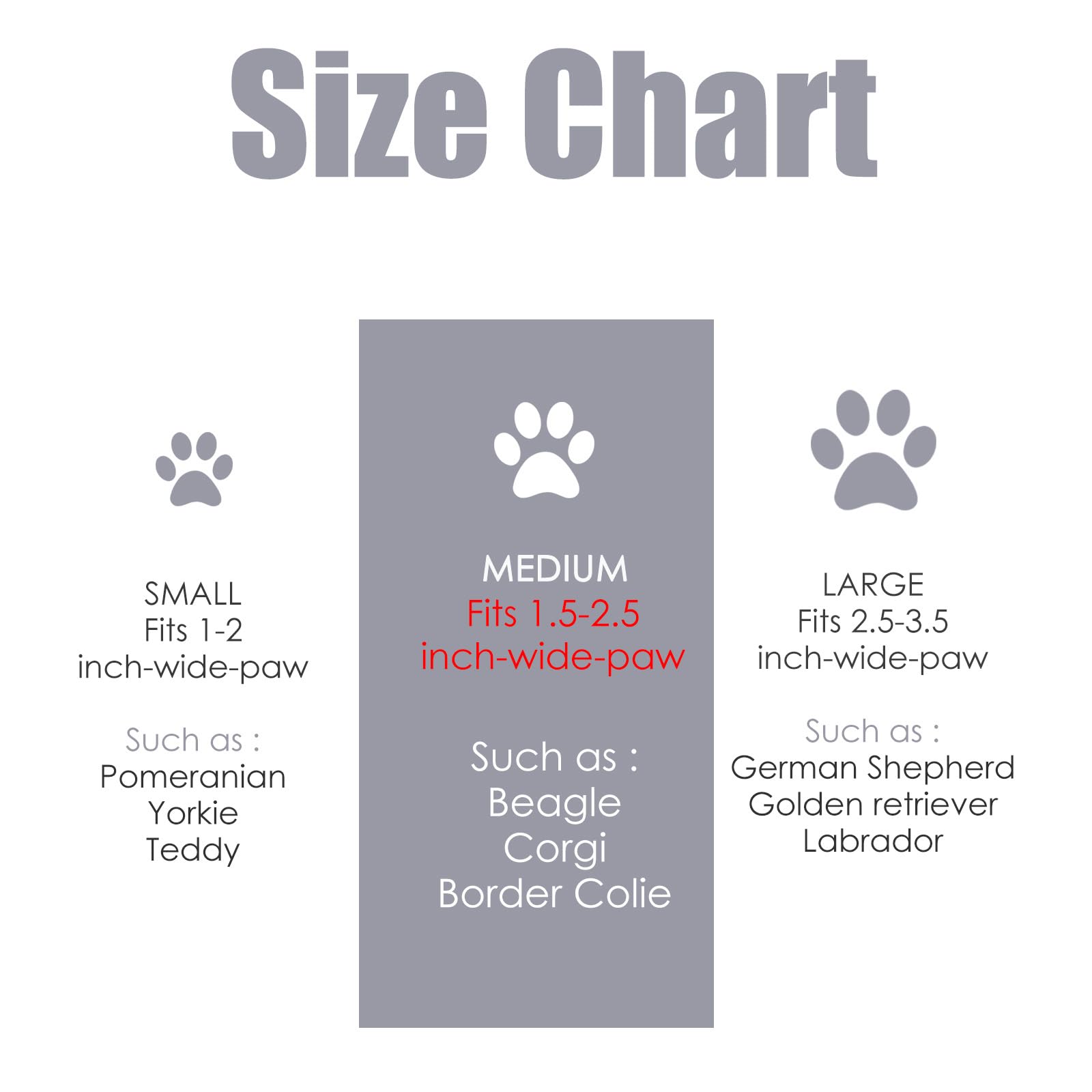 Tinioey silicone brush delivers gentle scrubbing for sensitive paws.