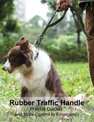 TINMARDA leash highlights reflective safety for dawn or dusk walks.