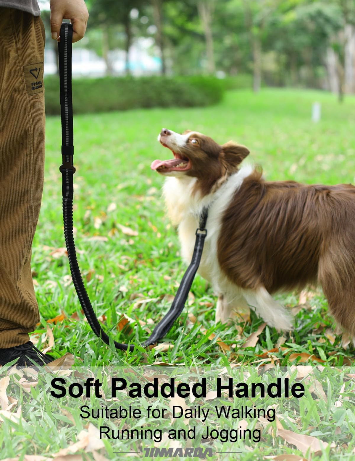 Tinmarda heavy-duty leash reinforced stitching supports daily adventures with durability