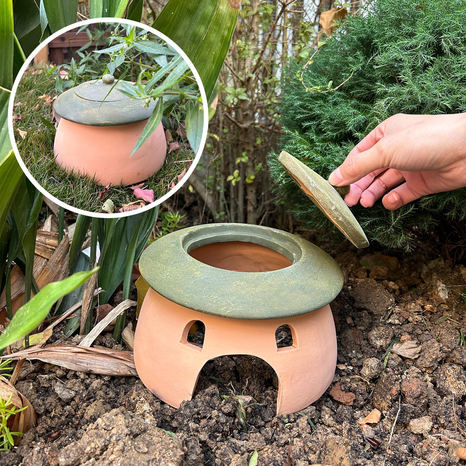 Tino Kino frog and toad house detachable lid design for easy cleaning